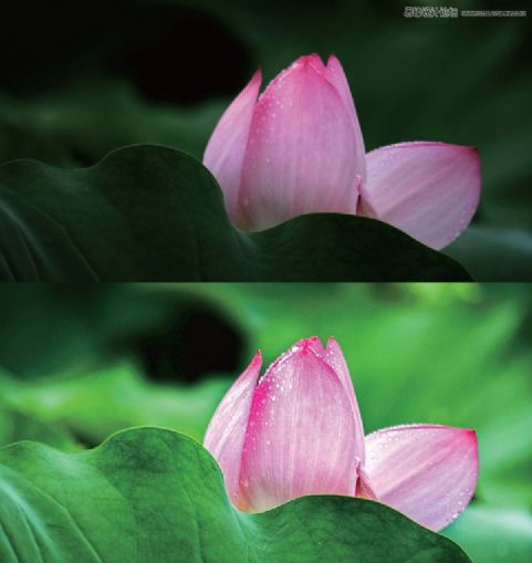 Photohsop(jin)岽ѺɻƬw{(dio)
